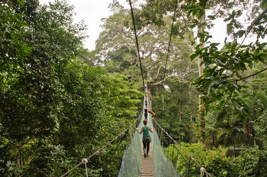 Amazon Basin, Peru, South America