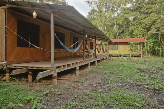 Amazon Basin, Peru, South America