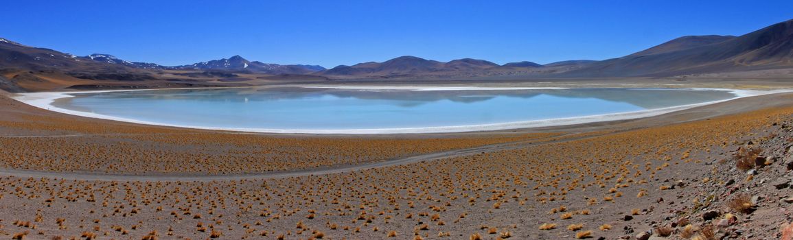 Salar Tuyajto, Atacama desert, near San Pedro De Atacama, Chile