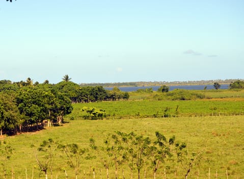 Fields and forest with the cultural background in ocean