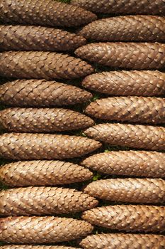 arranged brown cone as background nature