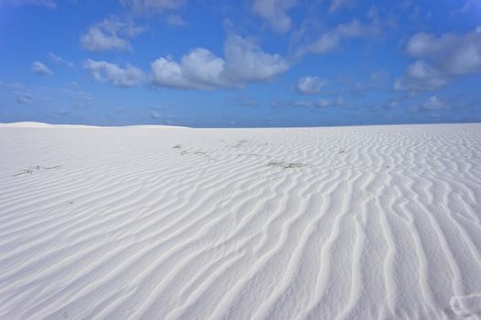 Barreirinhas, Brazil, South America