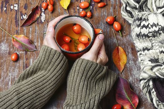 Cup of healing tea with autumn hips in his hands