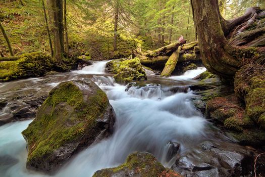 Log Jam at Panther Creek Falls in Gifford Pinchot National Forest Washington State