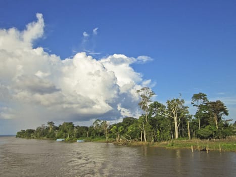 Amazon Basin, Brazil, South America