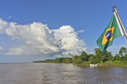 Amazon Basin, Brazil, South America