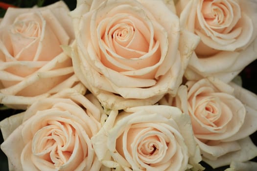 Pale pink roses in a floral arrangement at a wedding