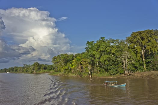 Amazon Basin, Brazil, South America