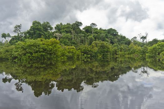 Amazon Basin, Brazil, South America