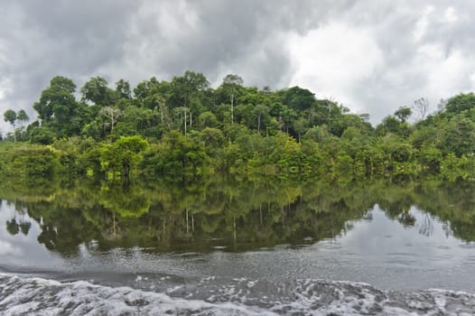 Amazon Basin, Brazil, South America