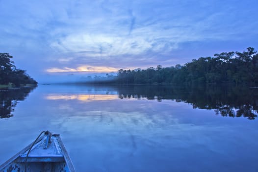 Amazon Basin, Brazil, South America