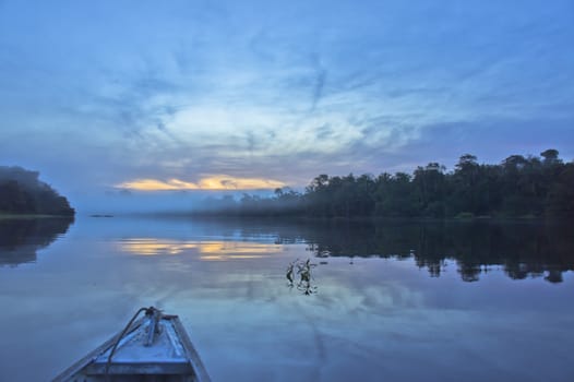 Amazon Basin, Brazil, South America