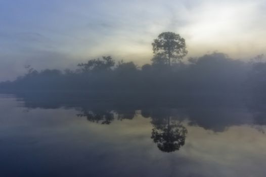 Amazon Basin, Brazil, South America