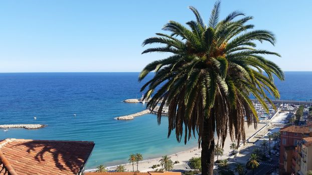 Beautiful View of the Old Town of Menton and a Palm Tree, France