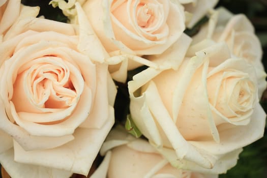 Pale pink roses in a floral arrangement at a wedding