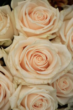 Pale pink roses in a floral arrangement at a wedding