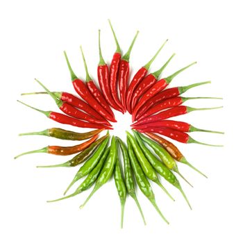 Arrangement of Perfect Red, Orange and Green Hot Chili Peppers as Sun isolated on White background