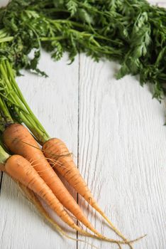 Freshly grown carrots on wooden table