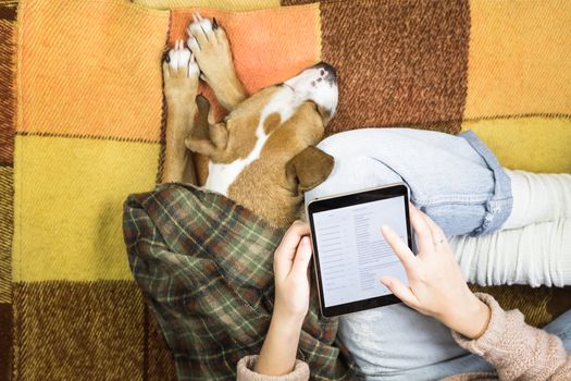 Top view of a person reading tablet pc sitting on a rug next to a dog covered in plaid