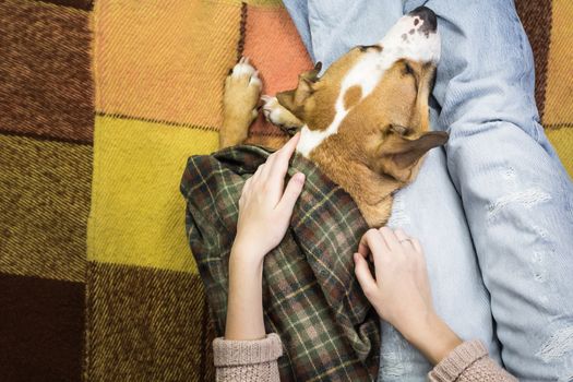 Top view of a female person who hugs a sleeping dog