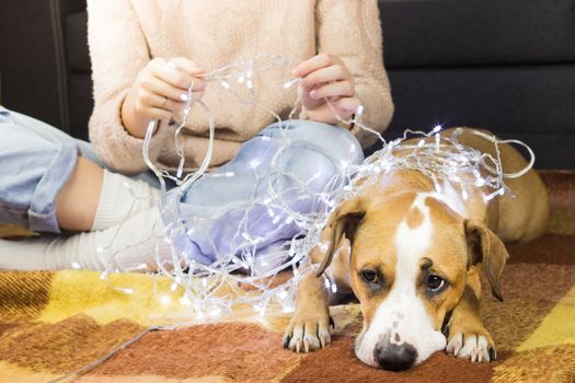 Female person unwinding christmas garland on the floor, dog lying next to her on plaid