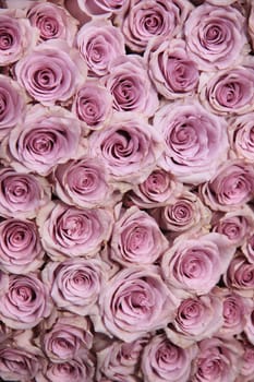 Purple roses in a big floral wedding arrangement