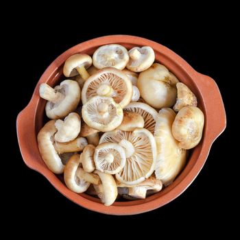 Raw washed mushrooms in ceramic pot, isolated on a black background. The view from the top