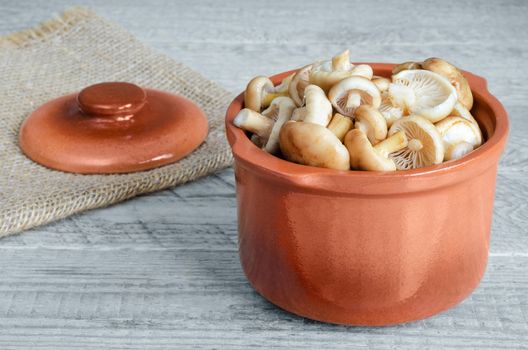 Raw washed the mushrooms in the ceramic pot on grey wooden background