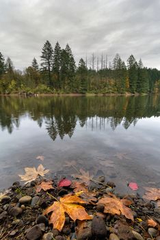 Round Lake at Lacamas Park in  Washington State during fall season on a rainy day