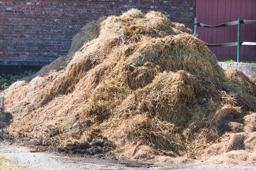 A manure pile on a farm in the background a wall of bricks.