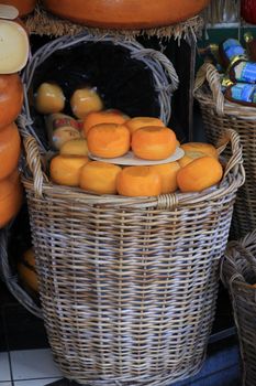 Small Dutch cheeses on display in a cheese shop