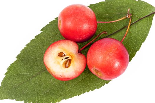 Red paradise apples isolated on white background, close up