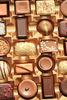 Luxurious Chocolates in various shapes and flavors in a gift box