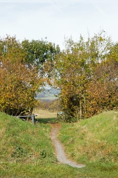 Path between trees on the South Downs near Devil's Dyke