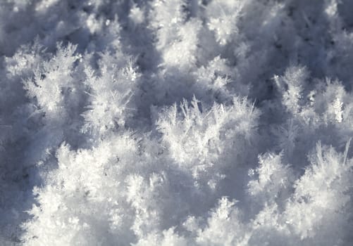 Big snow crystals on the ground, macro shot
