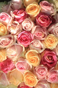 Pastel roses in various shades in a wedding arrangement