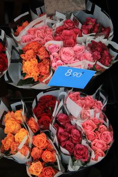 Rose bouquets in various colors at the flower market in Aix en Provence