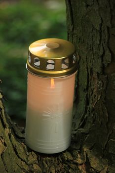 Memorial candle, burning on a tree at a cemetery