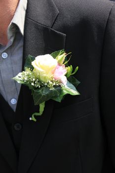 Groom wearing boutonniere: ivory rose and pink freesia