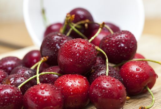 ripe cherry maroon covered with water drops. Berries are together after the harvest. Small depth of field. Photo taken closeup.