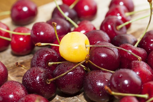 photographed close-up of ripe red cherries covered with water drops, shallow depth of field