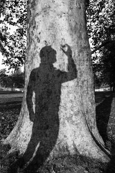 Mans Shadow On A Tree Trunk Holding Carved Heart