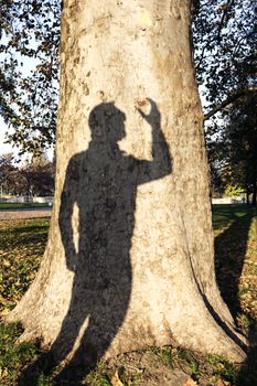 Mans Shadow On A Tree Trunk Holding Carved Heart