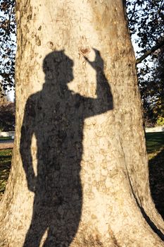 Mans Shadow On A Tree Trunk Holding Carved Heart