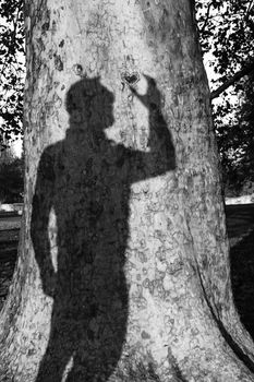 Mans Shadow On A Tree Trunk Holding Carved Heart