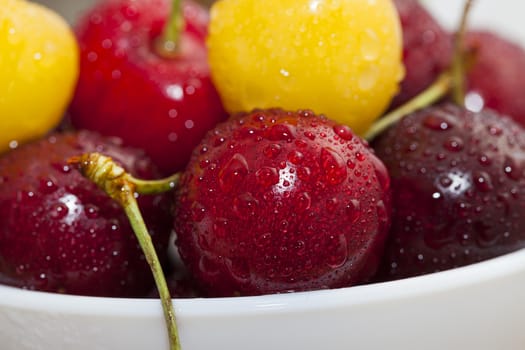 photographed close-up of ripe red cherries covered with water drops, shallow depth of field