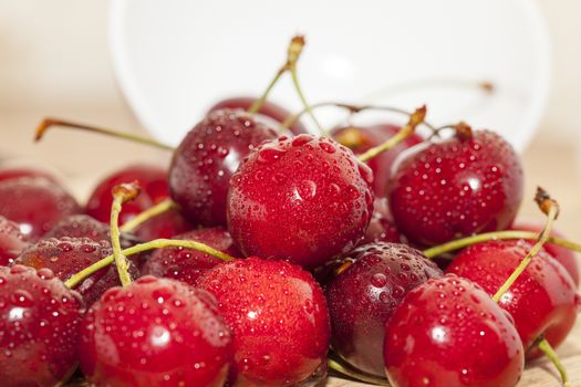 photographed close-up of ripe red cherries covered with water drops, shallow depth of field, white bowl on the table