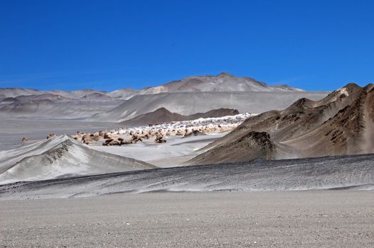 Pumice stones at Campo de Piedra Pomez, near Fiambala, Catamarca, Argentina