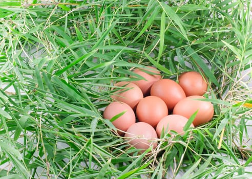 chicken eggs on bamboo leaves