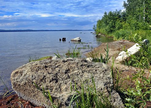 The shore of a lake in summer with green grass and trees